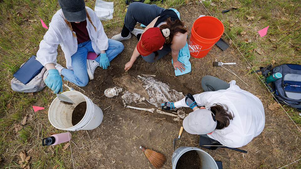 Huskers unearth hands-on archaeological, forensics experience at Reller