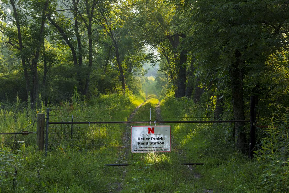 Reller Prairie Gate