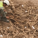 Person near bones on the ground outside