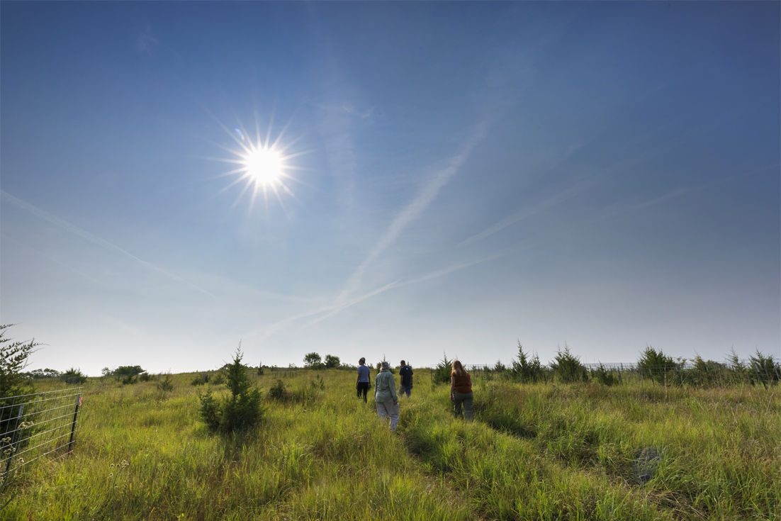 People walking at Reller Prairie